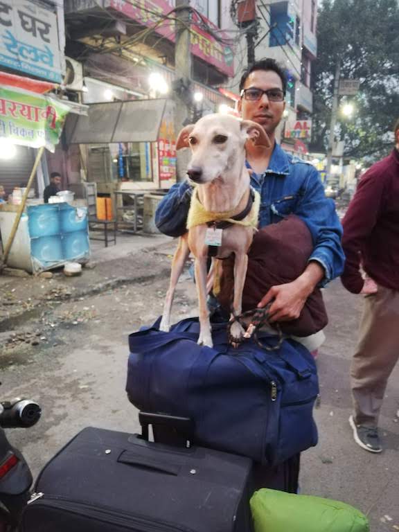 Indian railways journey with a dog